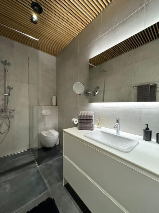 Luxury Loft In Tallinn