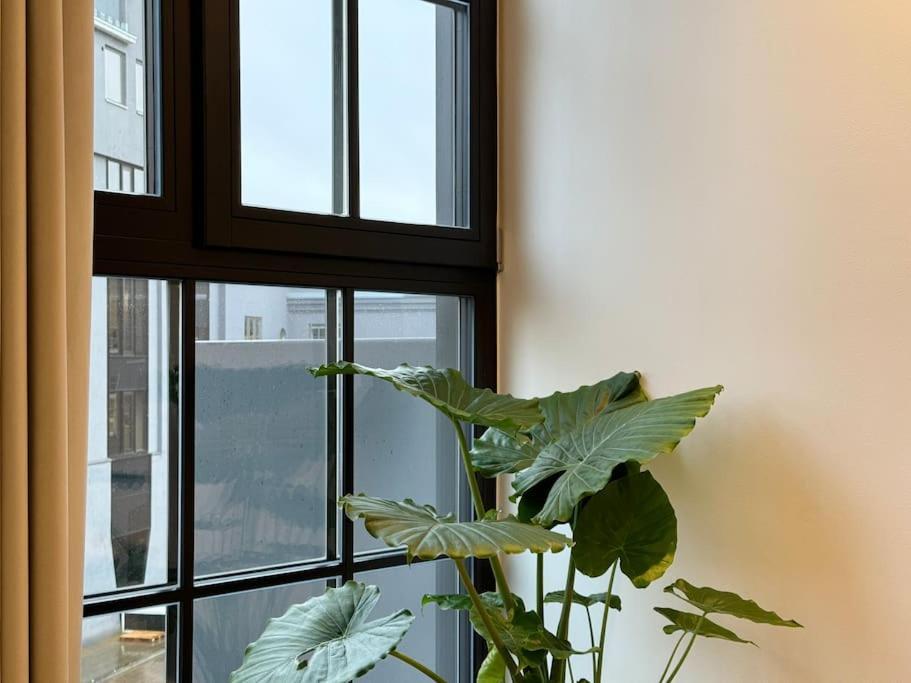 Luxury Loft In *